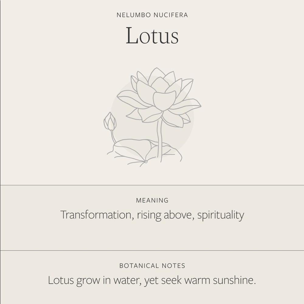Lotus July Birth Flower Plant Gift Charm Necklace - Picture 6 of 16